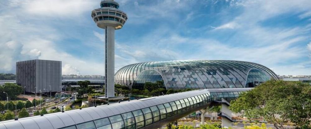 Starlux Airlines SIN Terminal – Singapore Changi Airport